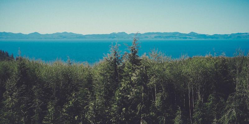 DIY手工艺术新境界：千纸秀折纸图案如何革新纺织品印花与面料浮雕工艺