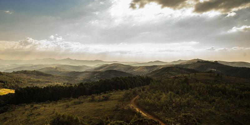 从陶艺到波西米亚风：疗愈系折纸DIY如何成为现代人的心灵减压艺术