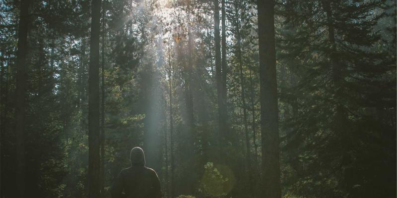 创意制作新疗法：千纸秀折纸如何成为艺术治疗的有效工具