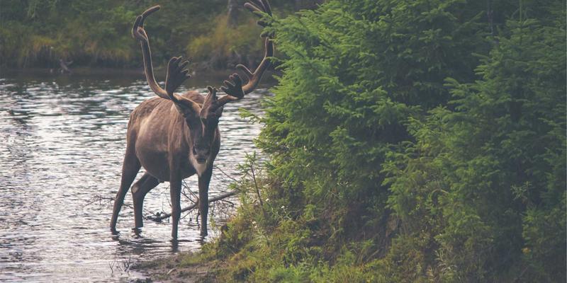 千纸秀10：当波西米亚风邂逅陶艺，一场手作美学的文艺复兴