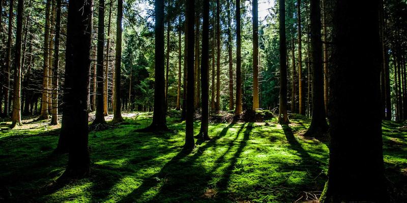 千纸秀13：当折纸艺术遇见波西米亚编织，一场指尖的浪漫革命