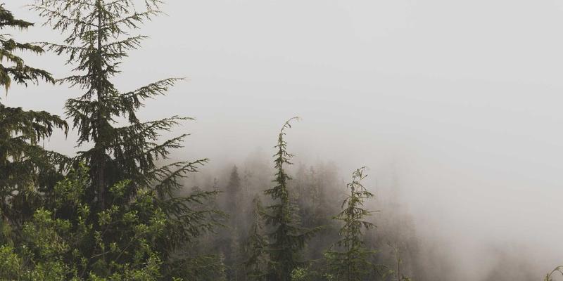 千纸秀51：当创意制作遇见陶艺，探索手工艺术的无限可能