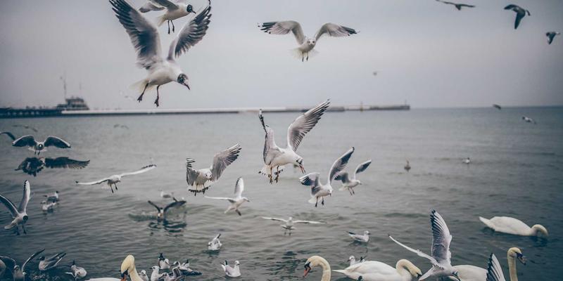 千纸秀92：当编织艺术遇见创意制作，手工艺品的新生代表达