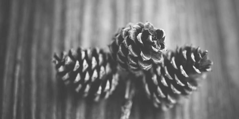 千纸秀94：当手工艺术遇见创意制作，折叠时光里的无限可能