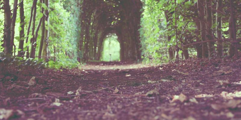 千纸秀技巧:当编织、陶艺与DIY相遇,开启指尖上的创意之旅