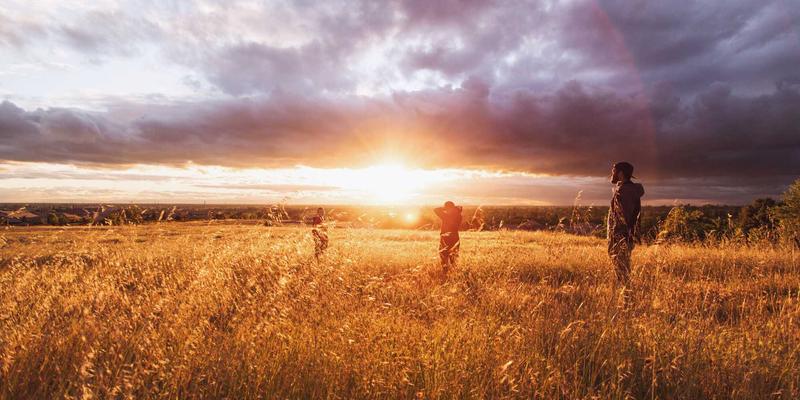 模块化折纸：千纸秀如何通过单元组合创造无限扩展的艺术形态