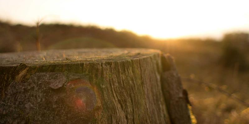 模块化折纸设计：用千纸秀单元组合技法打造大型可变形手工艺品