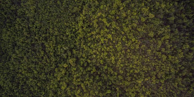 波西米亚风编织创意制作：基于千纸秀原理开发儿童空间认知教具