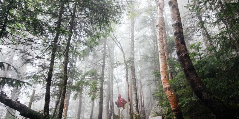 编织梦幻时刻：大型折纸艺术装置如何为婚礼与庆典定制独一无二的手工艺术场景